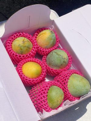 精選芒果禮盒（6顆裝）