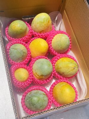 精選芒果禮盒（10顆裝）